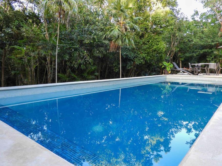 Aku-Chic Newly Furbished Condo Jungle Pool Xetna Esterno foto